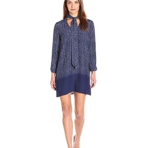 BB Dakota Carrera Ombré Shift Dress